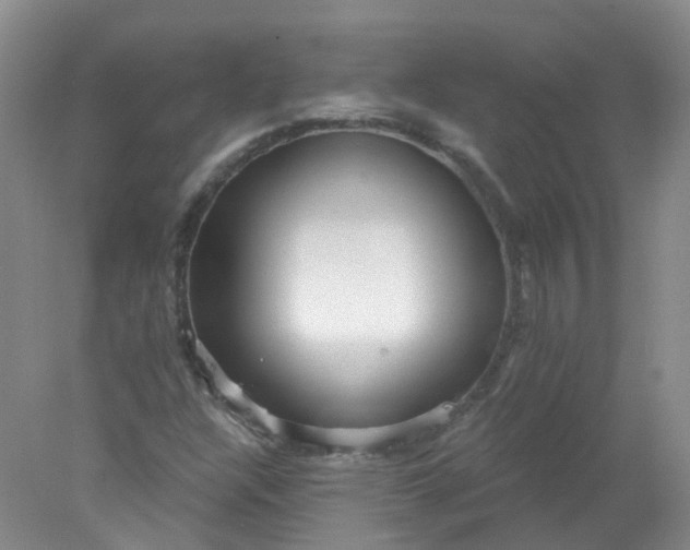 X0000078311304200611172204