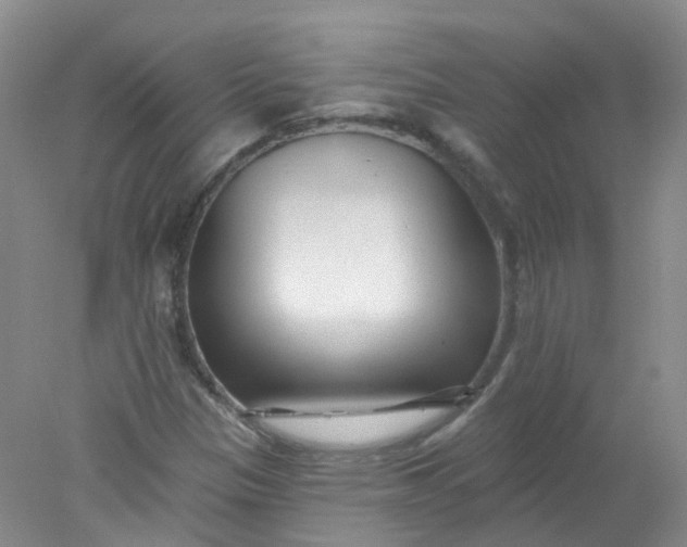 X0000078311305200611172204