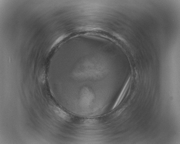 X0000078311306200611172204