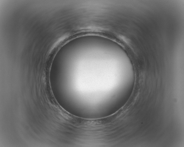 X0000078311307200611172204