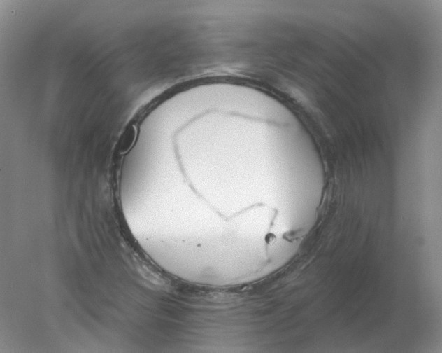 X0000078311308200611172204