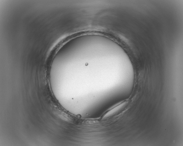 X0000078311310200611172204