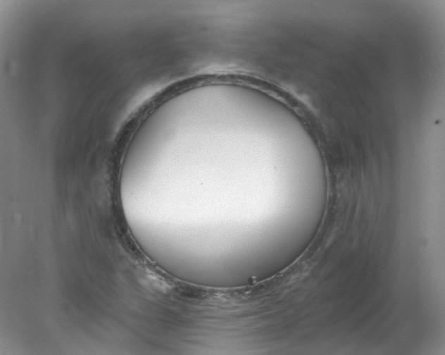 X0000078311311200611172204