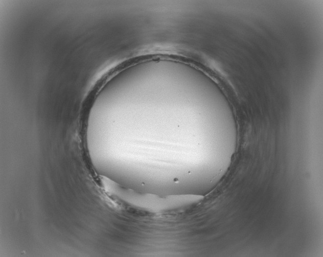 X0000078311312200611172204