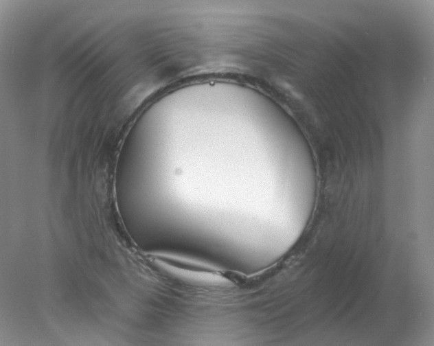 X0000078311313200611172204