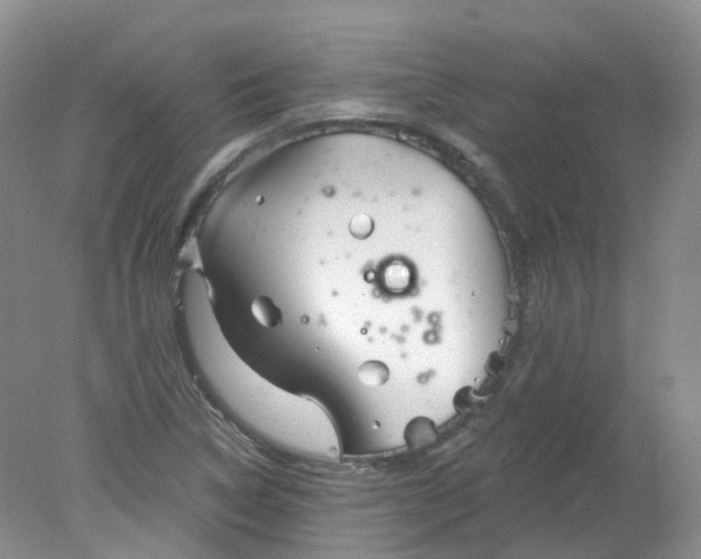 X0000078311314200611172204