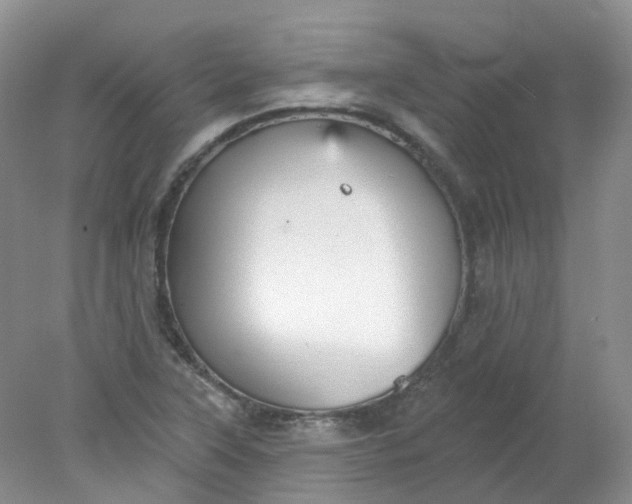 X0000078311315200611172204