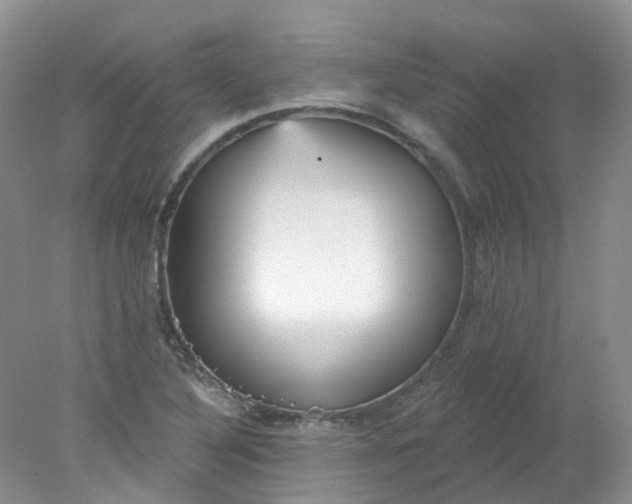 X0000078311316200611172204