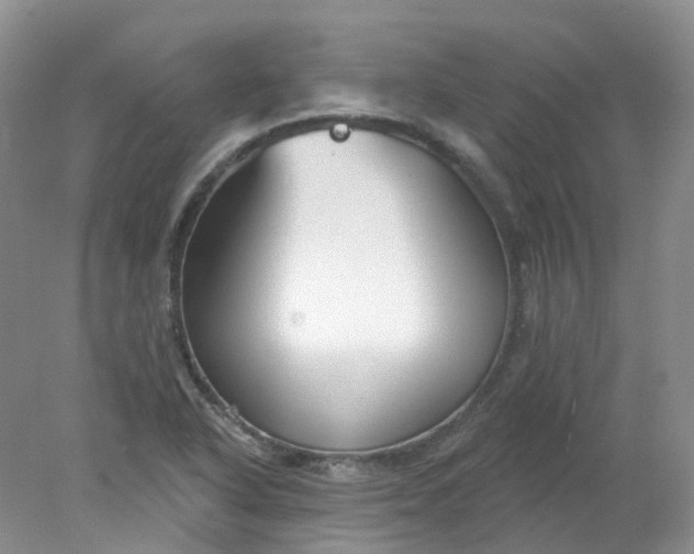 X0000078311318200611172204