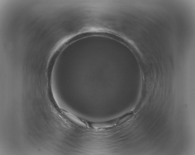 X0000078311319200611172204