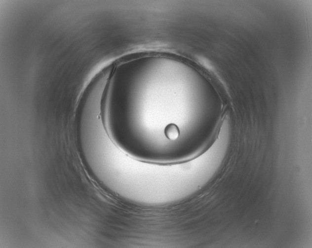 X0000078311320200611172204