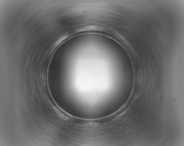 X0000078311321200611172204