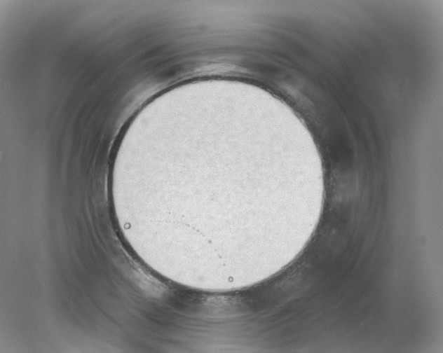 X0000078311322200611172204