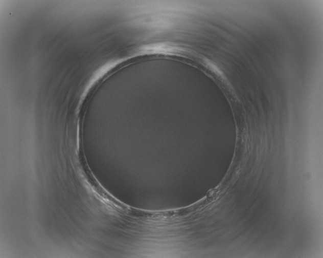 X0000078311323200611172204