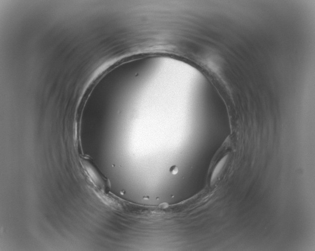 X0000078311324200611172205