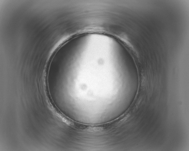 X0000078311325200611172205