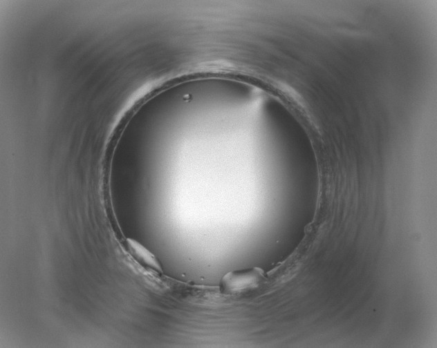 X0000078311326200611172205