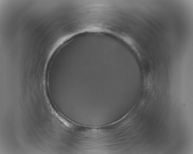 X0000078311327200611172205