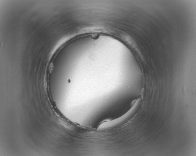 X0000078311328200611172205