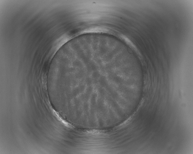 X0000078311329200611172205