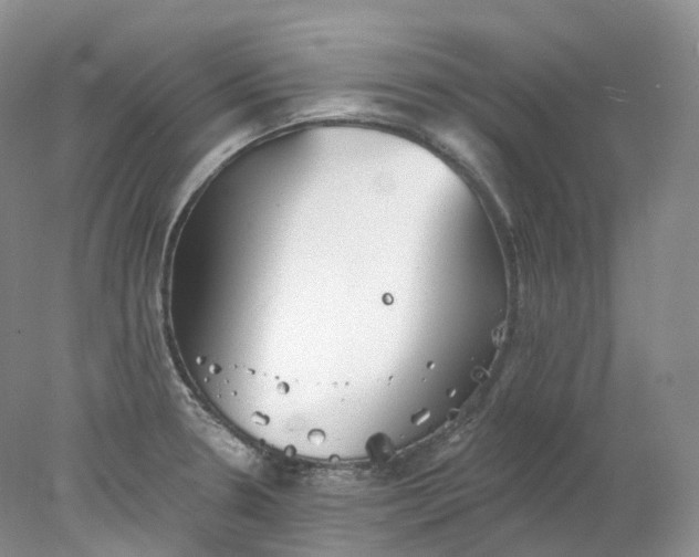 X0000078311330200611172205