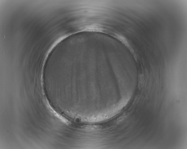 X0000078311331200611172205