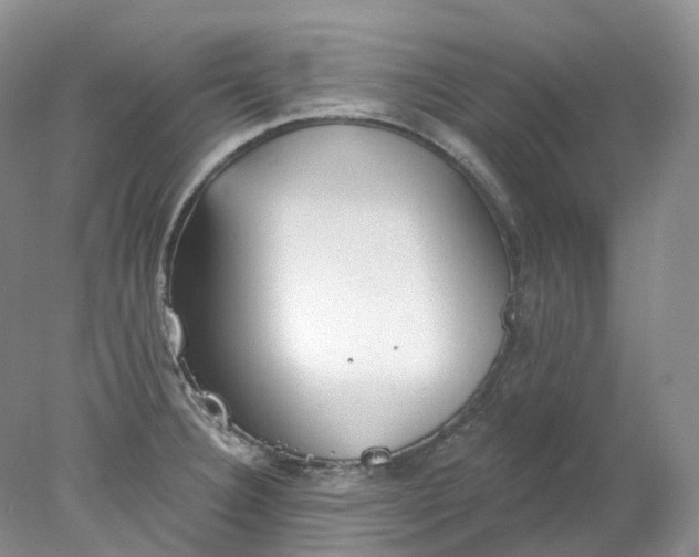 X0000078311332200611172205