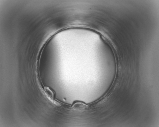 X0000078311333200611172205