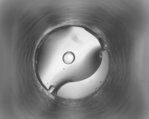 X0000078311334200611172205