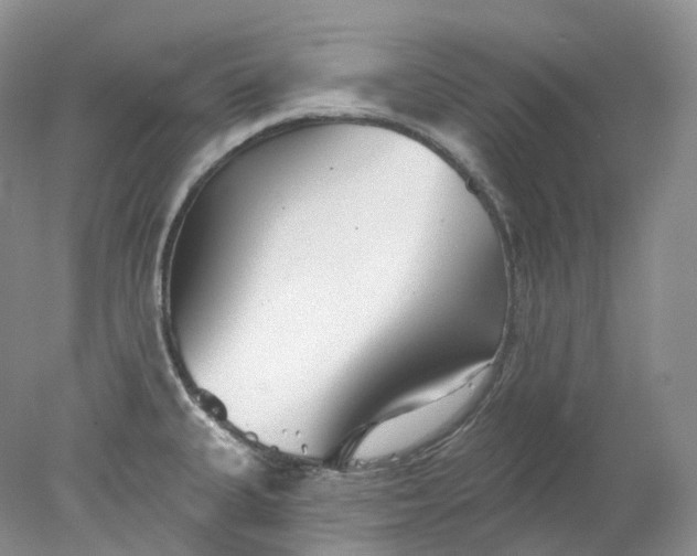 X0000078311335200611172205