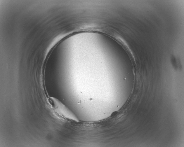 X0000078311336200611172205