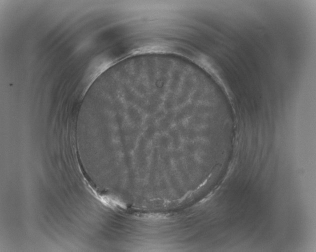 X0000078311337200611172205