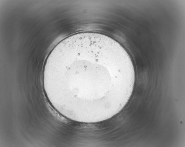 X0000078311338200611172205