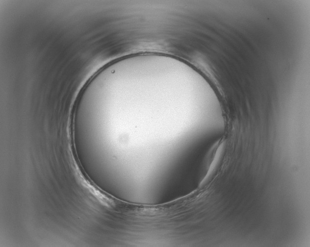 X0000078311339200611172205