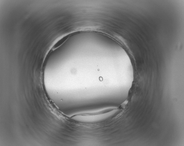 X0000078311340200611172205