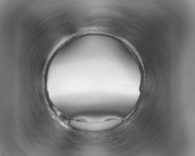 X0000078311341200611172205