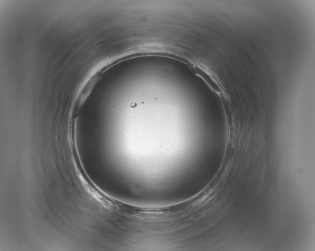 X0000078311342200611172205