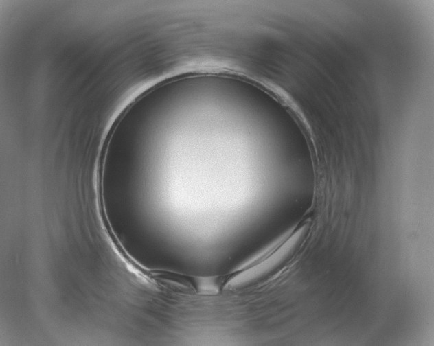 X0000078311343200611172205