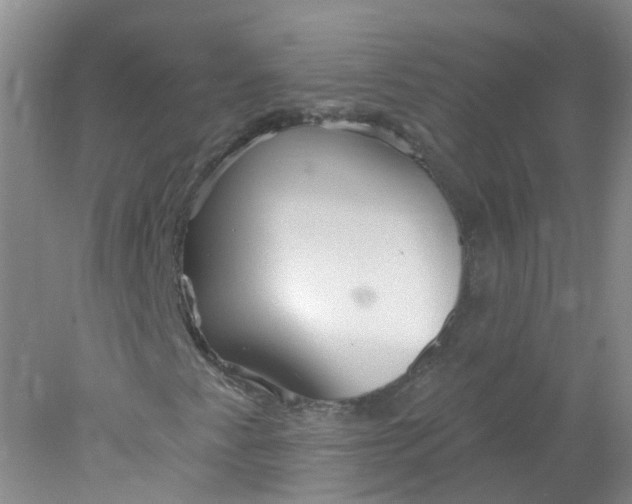 X0000078311345200611172204