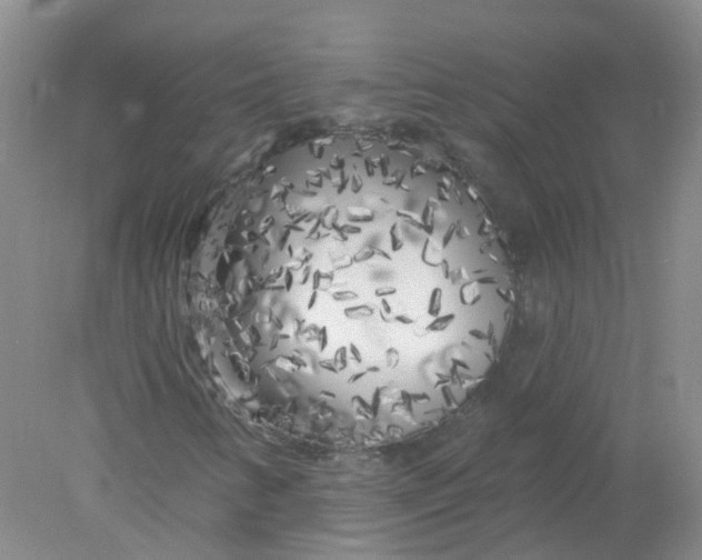 X0000078311346200611172204