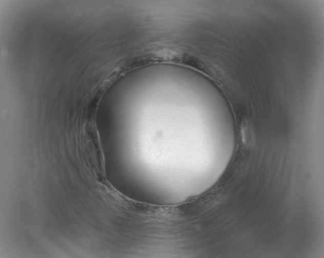 X0000078311347200611172204