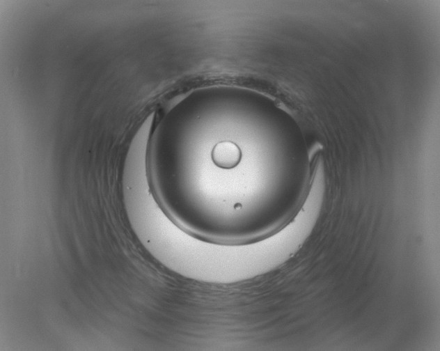 X0000078311348200611172204