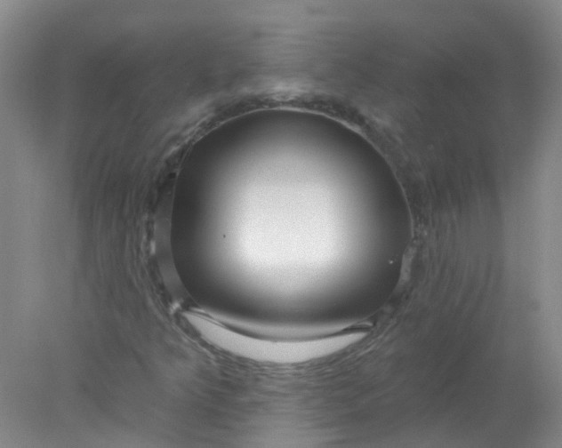 X0000078311349200611172204