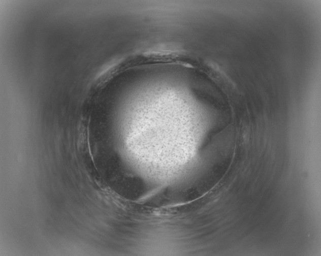 X0000078311350200611172204