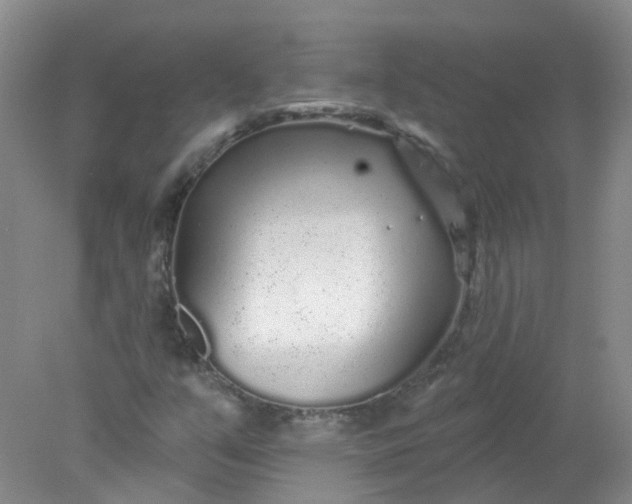 X0000078311351200611172204