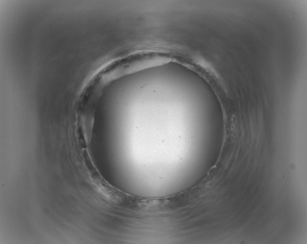 X0000078311352200611172204