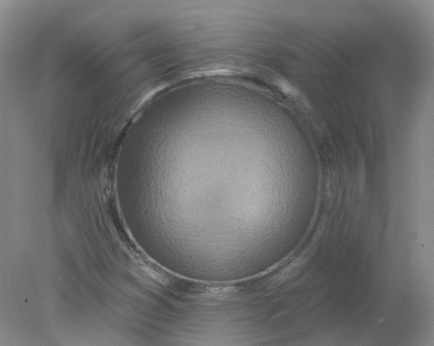 X0000078311353200611172204