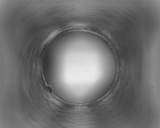 X0000078311354200611172204