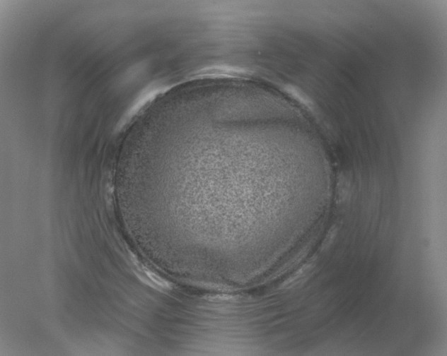 X0000078311355200611172204