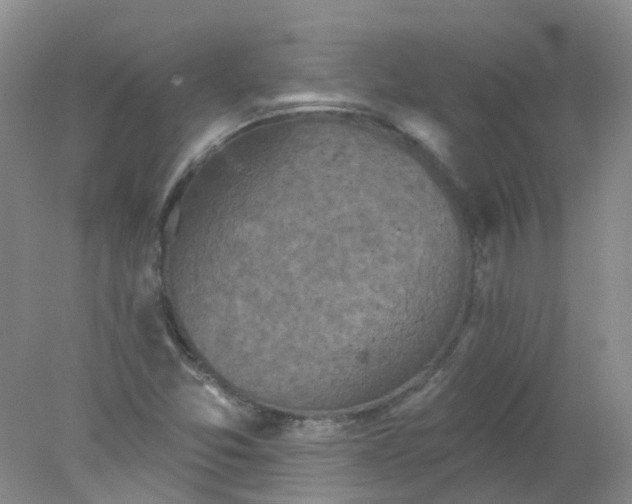 X0000078311357200611172204